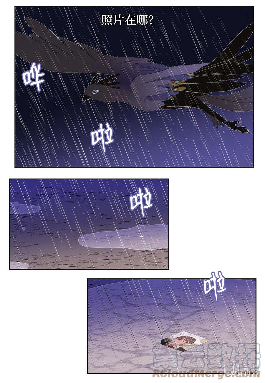 凤凰爱史109 思念