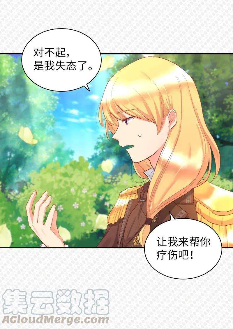 双胞胎兄妹的父皇是宠娃狂魔008 哥哥的礼物
