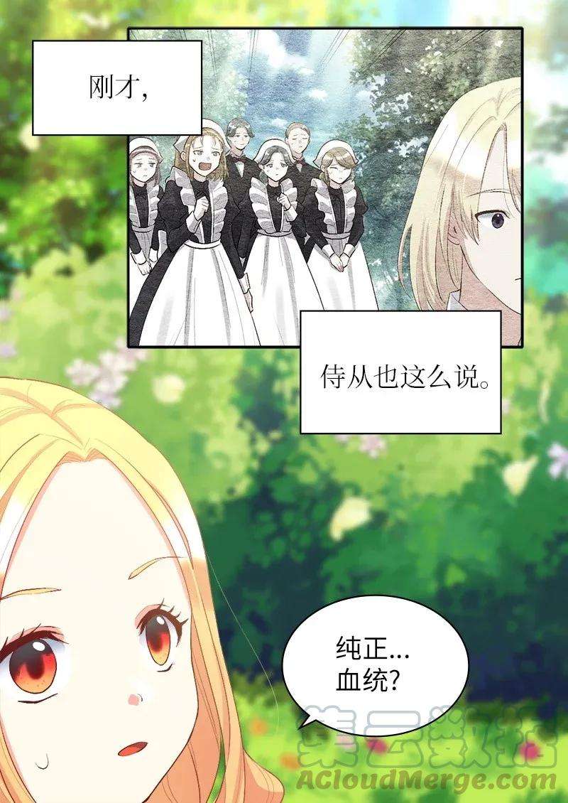 双胞胎兄妹的父皇是宠娃狂魔008 哥哥的礼物
