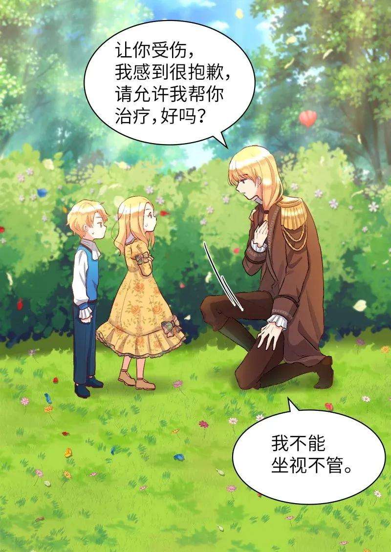 双胞胎兄妹的父皇是宠娃狂魔008 哥哥的礼物