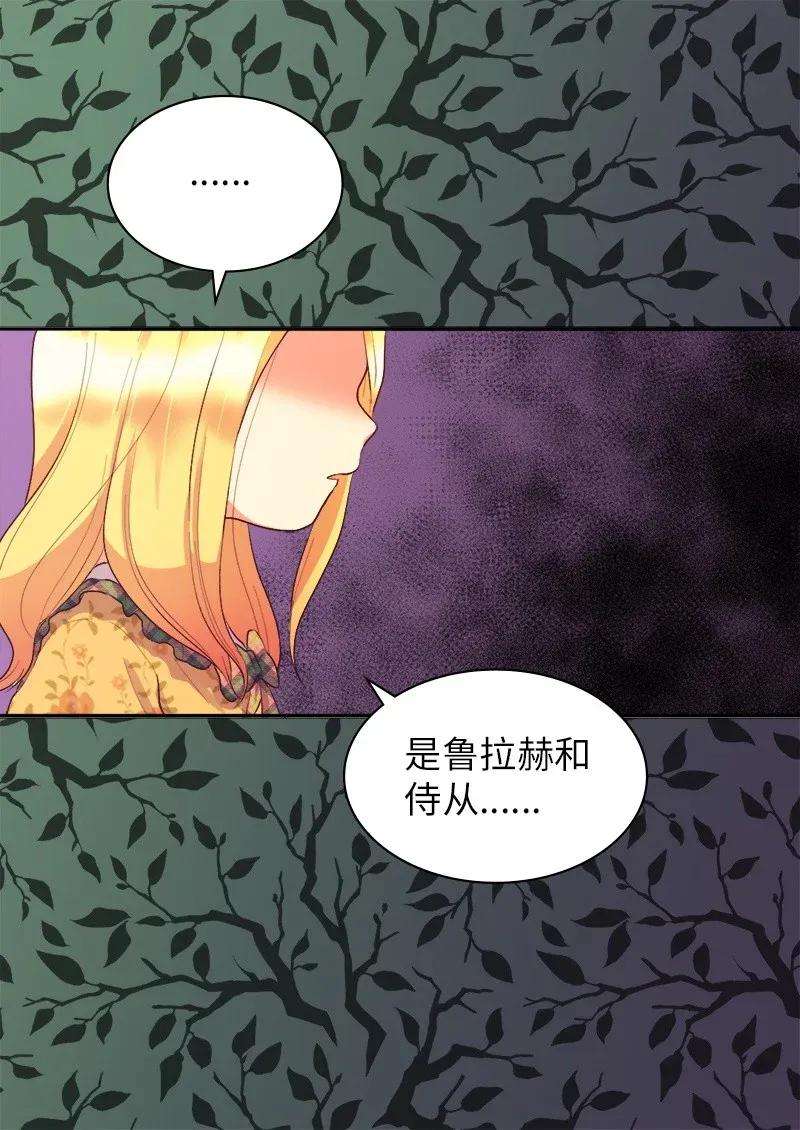 双胞胎兄妹的父皇是宠娃狂魔008 哥哥的礼物