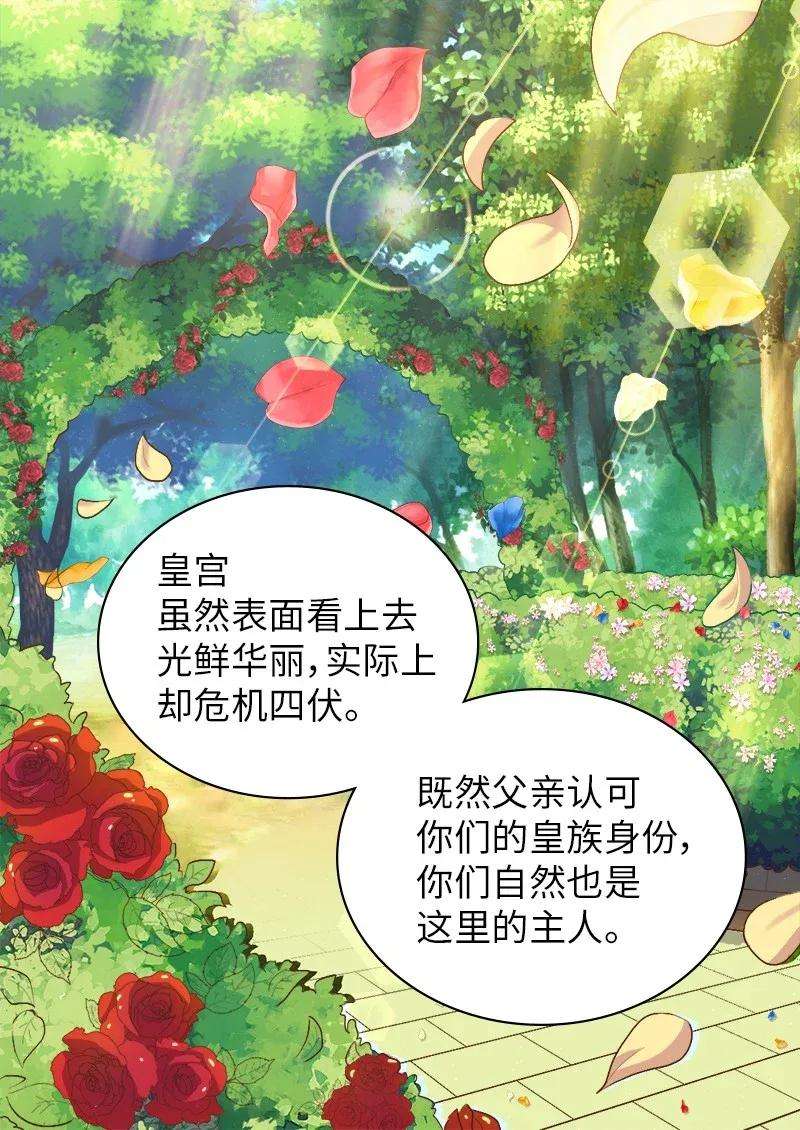 双胞胎兄妹的父皇是宠娃狂魔008 哥哥的礼物