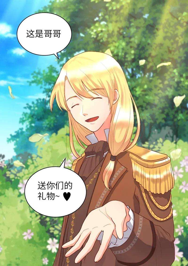 双胞胎兄妹的父皇是宠娃狂魔008 哥哥的礼物