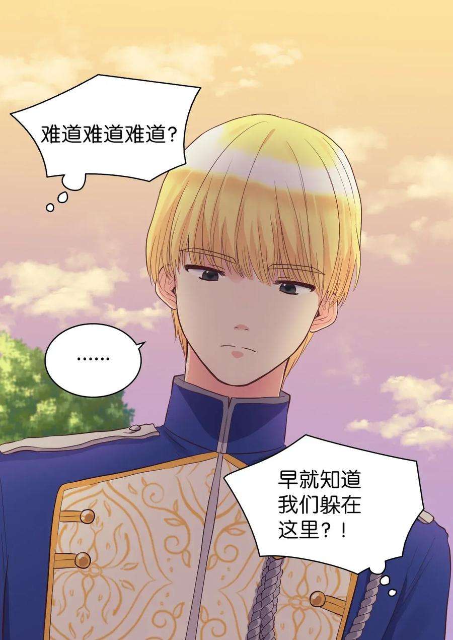 双胞胎兄妹的父皇是宠娃狂魔011 闯祸了