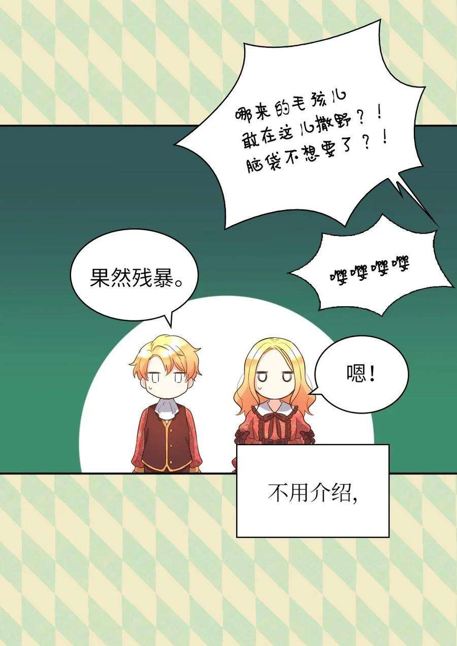 双胞胎兄妹的父皇是宠娃狂魔015 温柔的哥哥