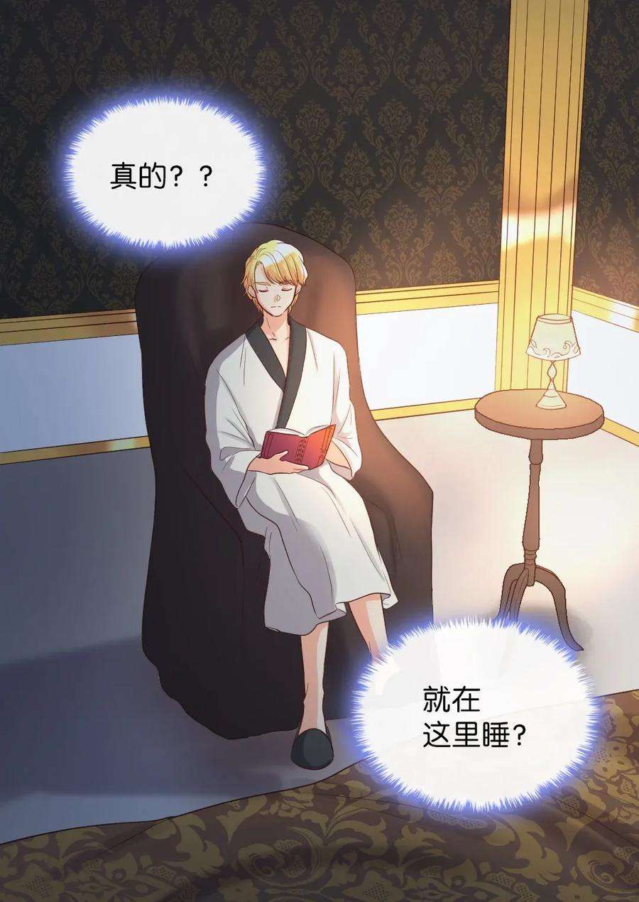 双胞胎兄妹的父皇是宠娃狂魔019 守护者