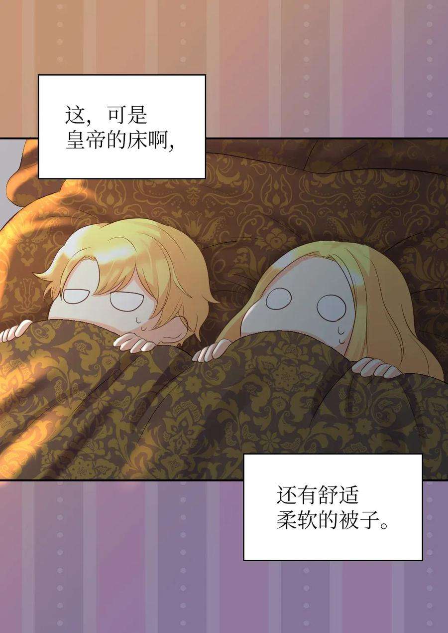 双胞胎兄妹的父皇是宠娃狂魔019 守护者