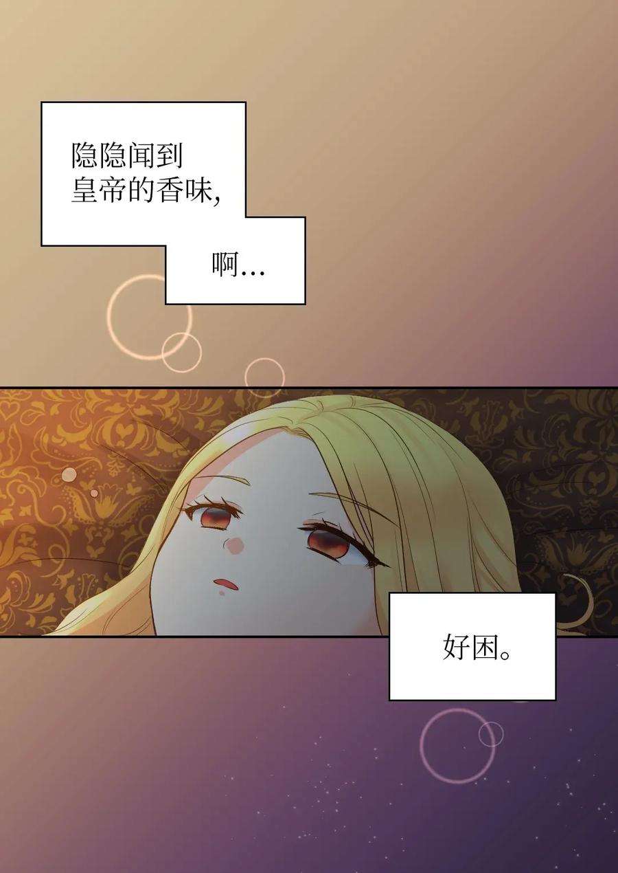 双胞胎兄妹的父皇是宠娃狂魔019 守护者