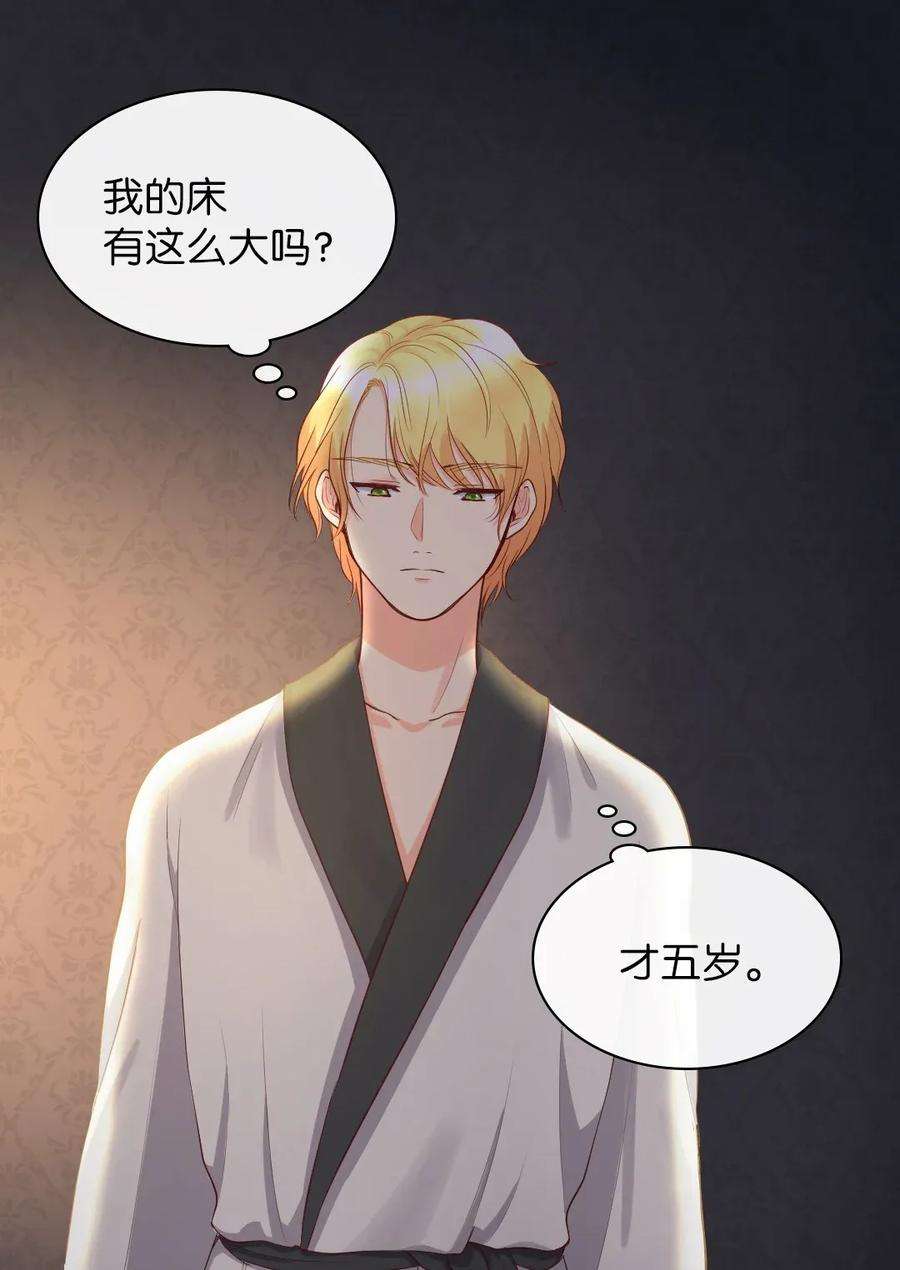 双胞胎兄妹的父皇是宠娃狂魔019 守护者