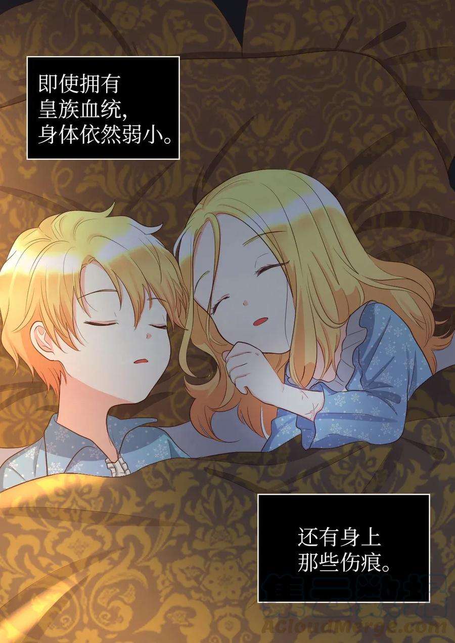 双胞胎兄妹的父皇是宠娃狂魔019 守护者