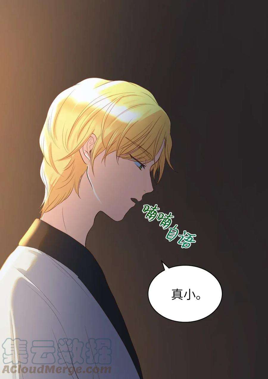 双胞胎兄妹的父皇是宠娃狂魔019 守护者