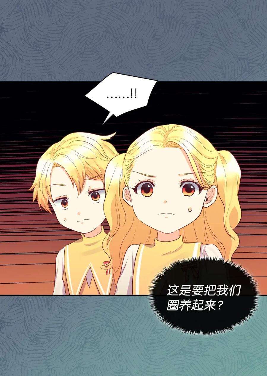 双胞胎兄妹的父皇是宠娃狂魔020 陛下的神秘礼物