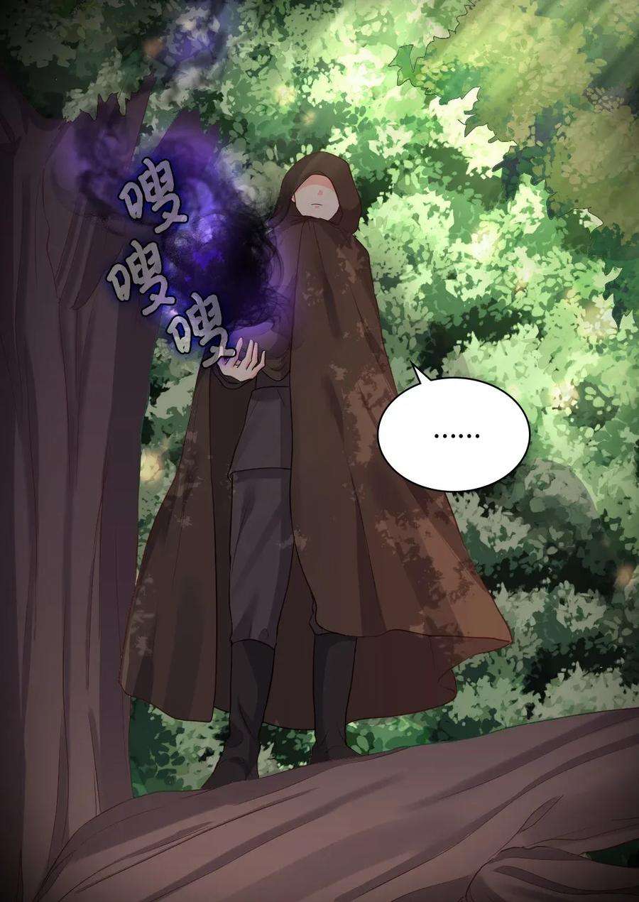 双胞胎兄妹的父皇是宠娃狂魔024 遭遇突袭