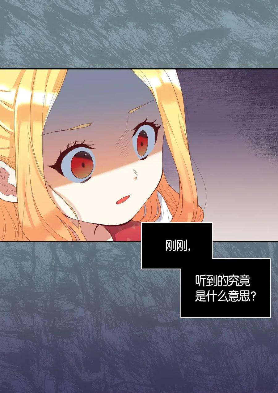 双胞胎兄妹的父皇是宠娃狂魔031 出生的秘密