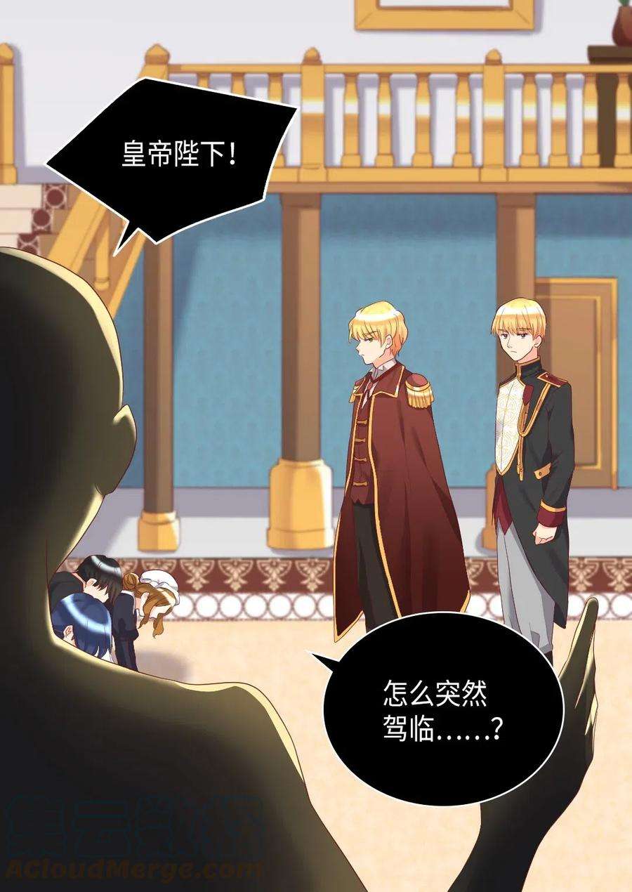 双胞胎兄妹的父皇是宠娃狂魔031 出生的秘密