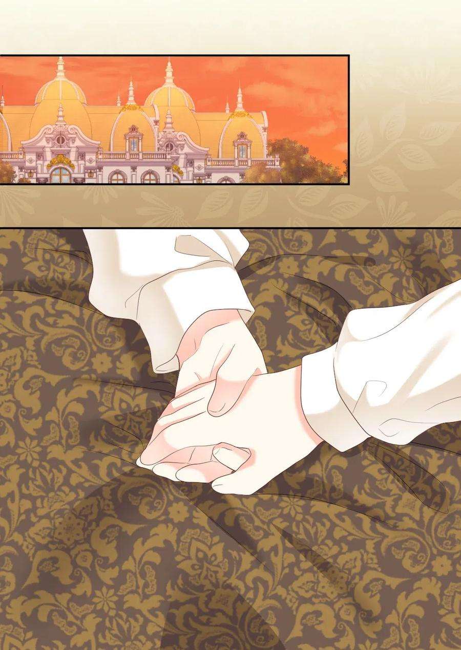 双胞胎兄妹的父皇是宠娃狂魔031 出生的秘密