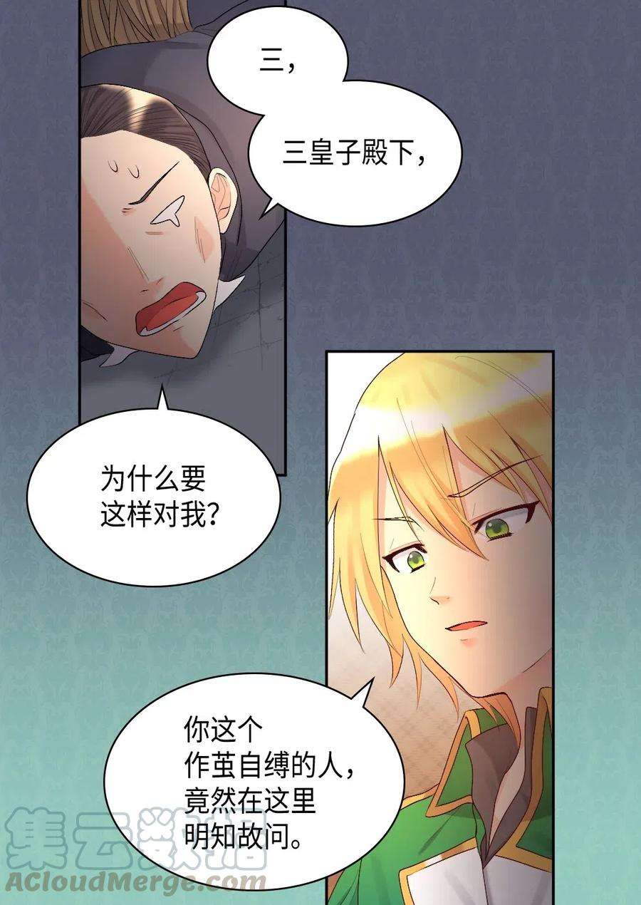 双胞胎兄妹的父皇是宠娃狂魔036 侍从