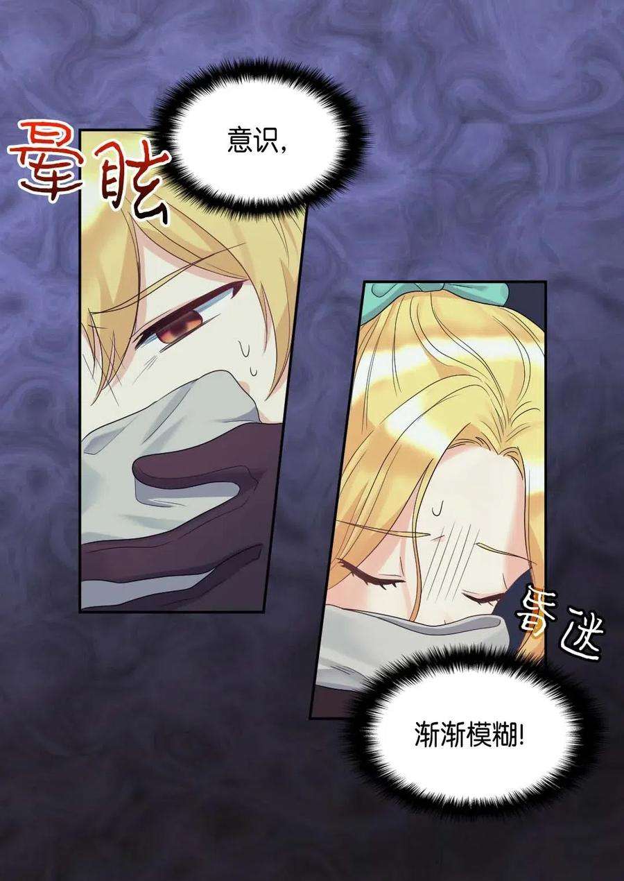 双胞胎兄妹的父皇是宠娃狂魔046 劫持