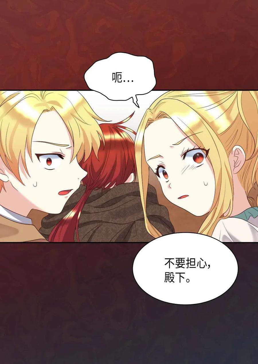 双胞胎兄妹的父皇是宠娃狂魔046 劫持