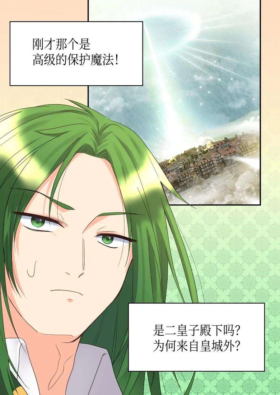 双胞胎兄妹的父皇是宠娃狂魔049 保护魔法