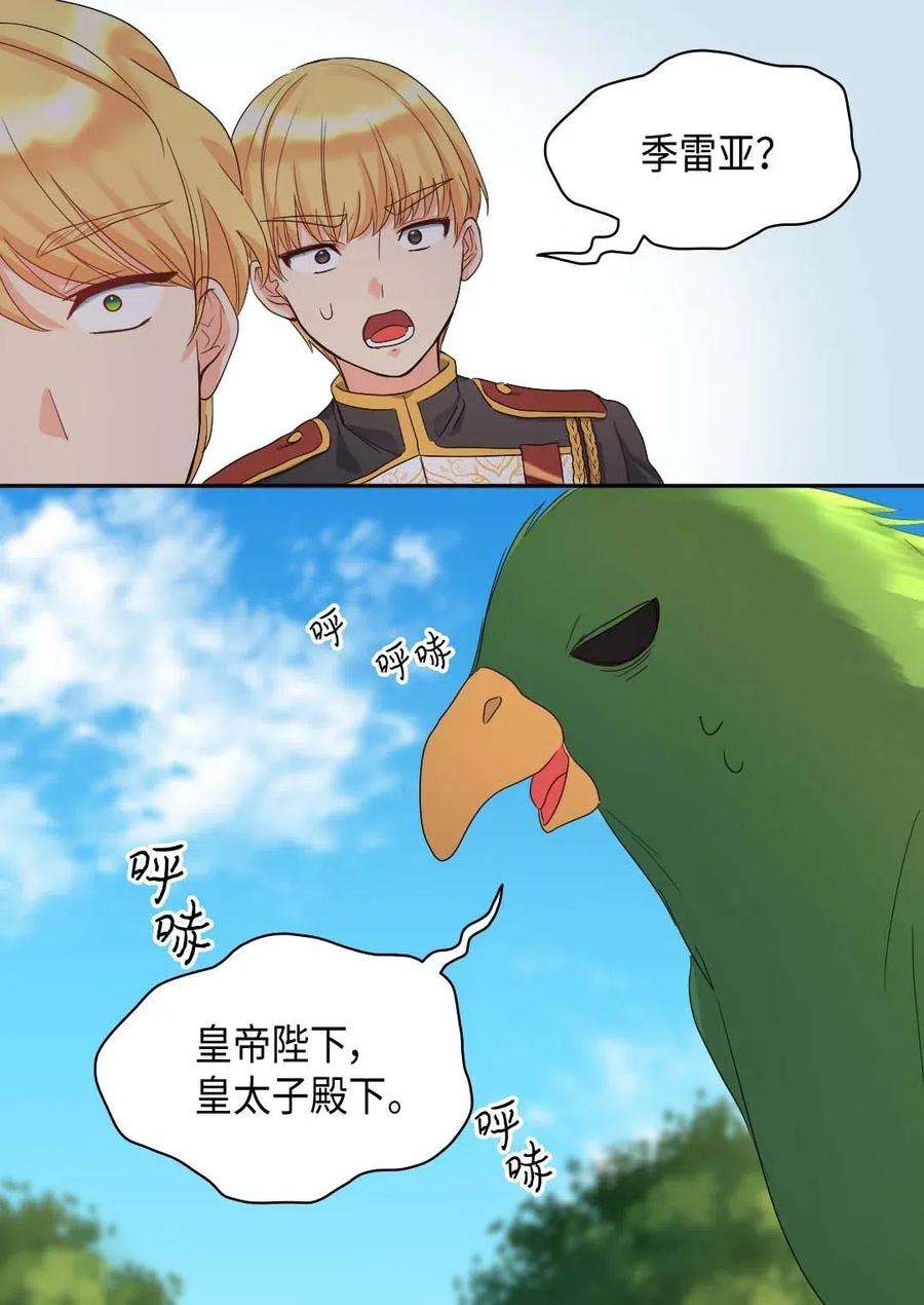 双胞胎兄妹的父皇是宠娃狂魔049 保护魔法