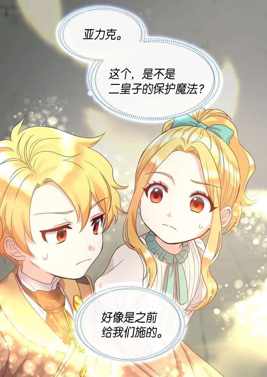 双胞胎兄妹的父皇是宠娃狂魔049 保护魔法