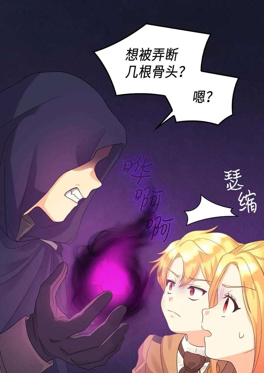 双胞胎兄妹的父皇是宠娃狂魔049 保护魔法