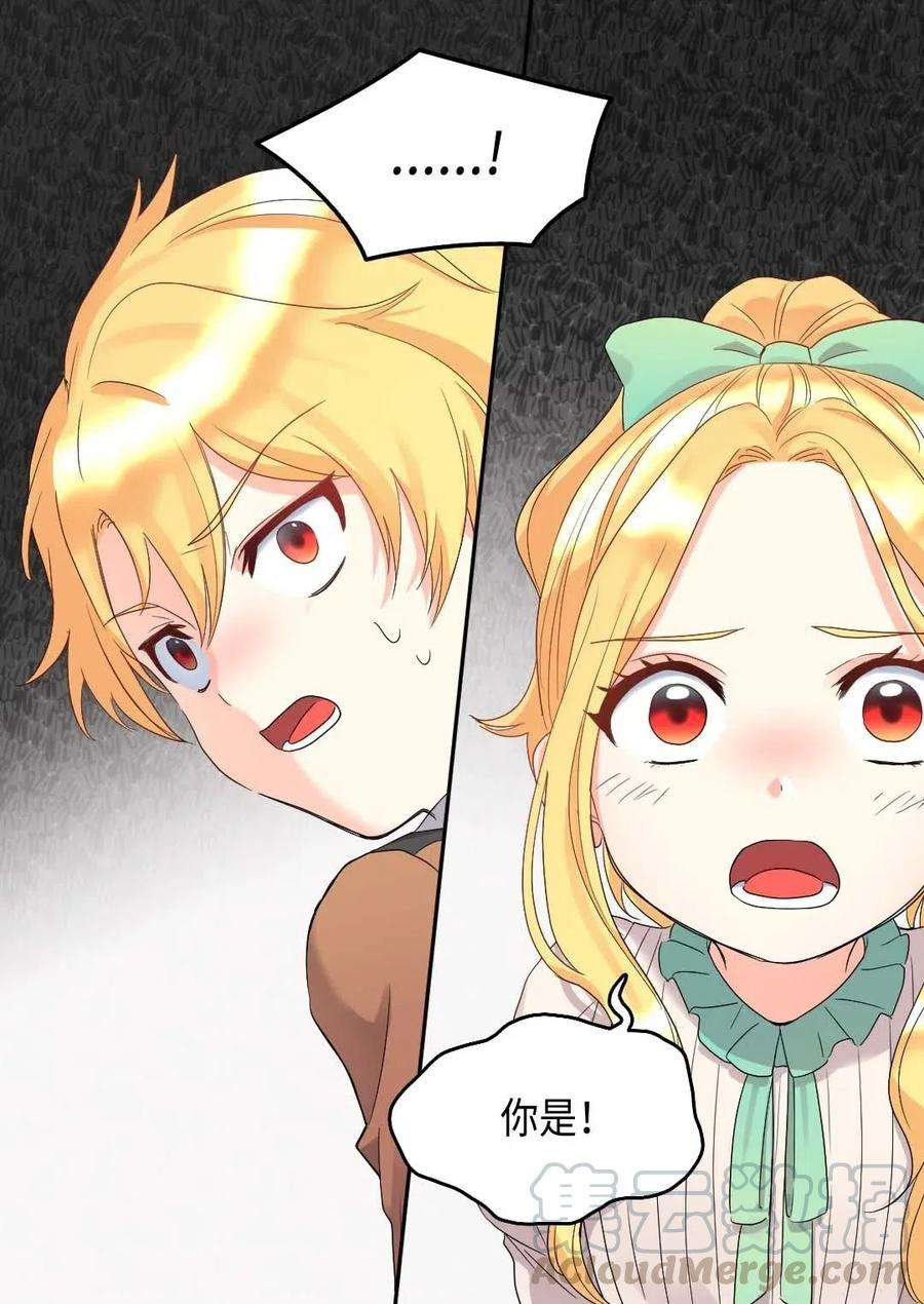 双胞胎兄妹的父皇是宠娃狂魔049 保护魔法