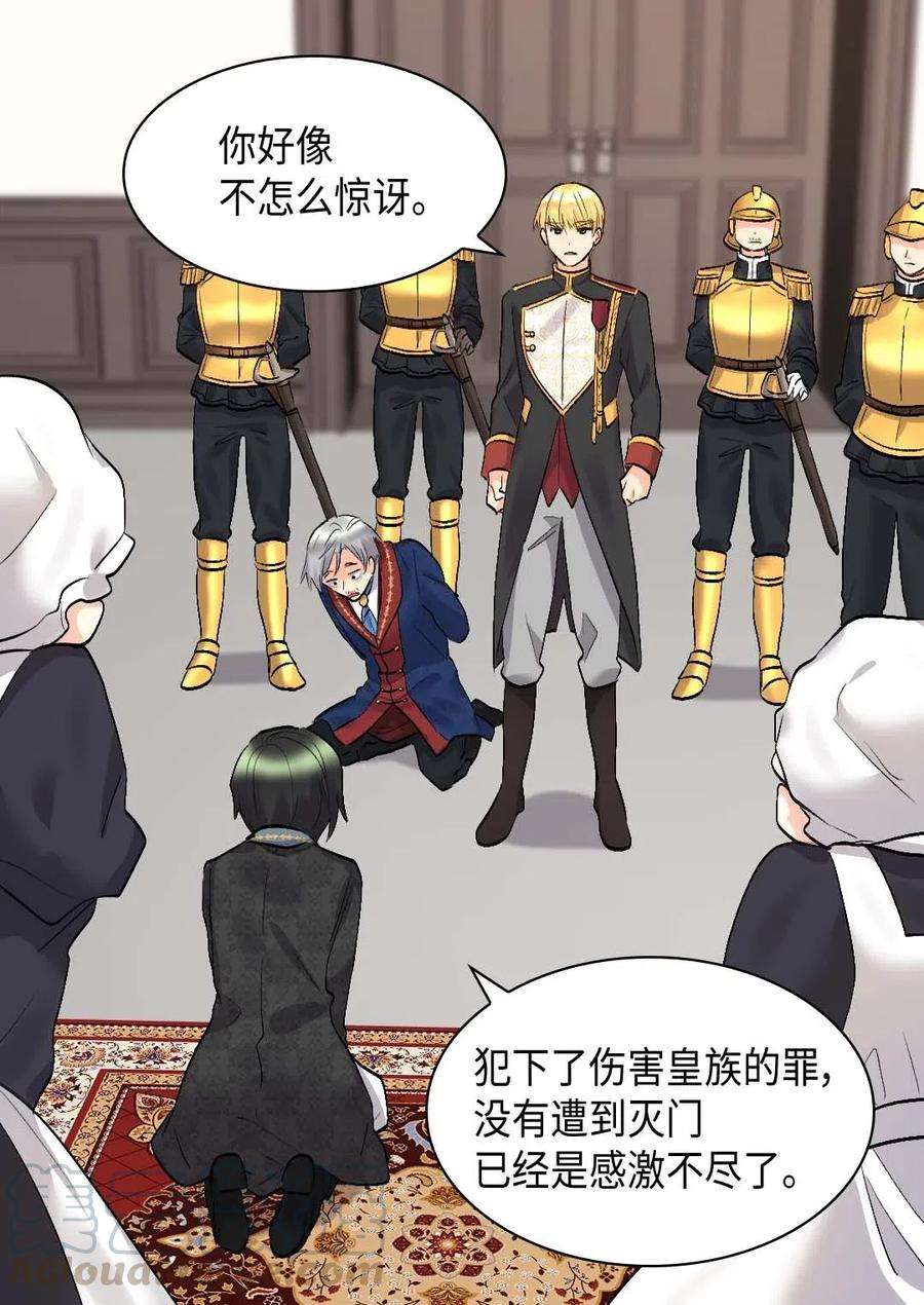 双胞胎兄妹的父皇是宠娃狂魔054 话到皇城