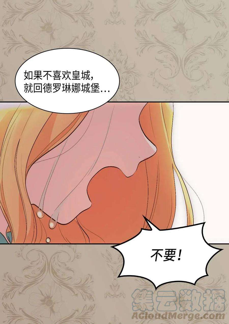 双胞胎兄妹的父皇是宠娃狂魔054 话到皇城