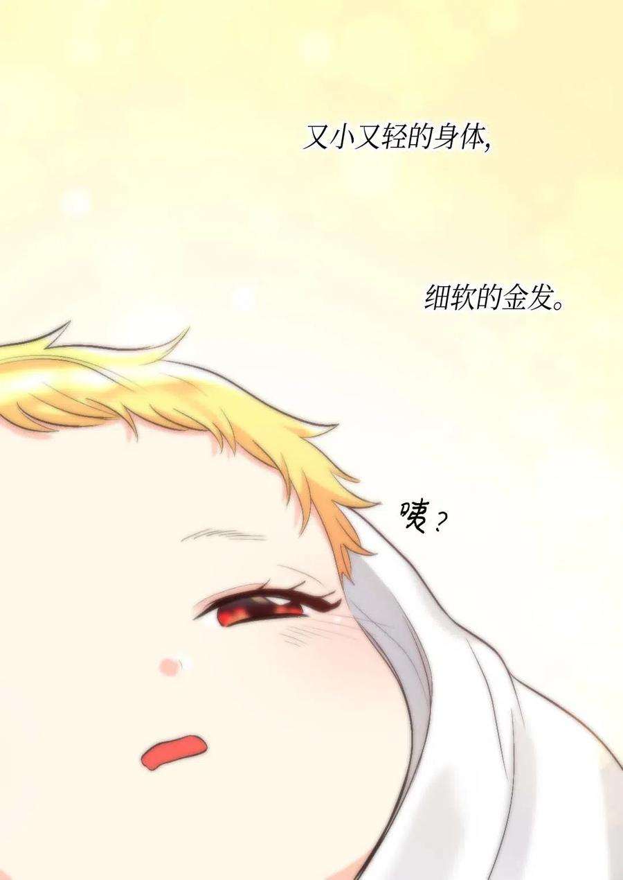 双胞胎兄妹的父皇是宠娃狂魔057 皇帝的告白