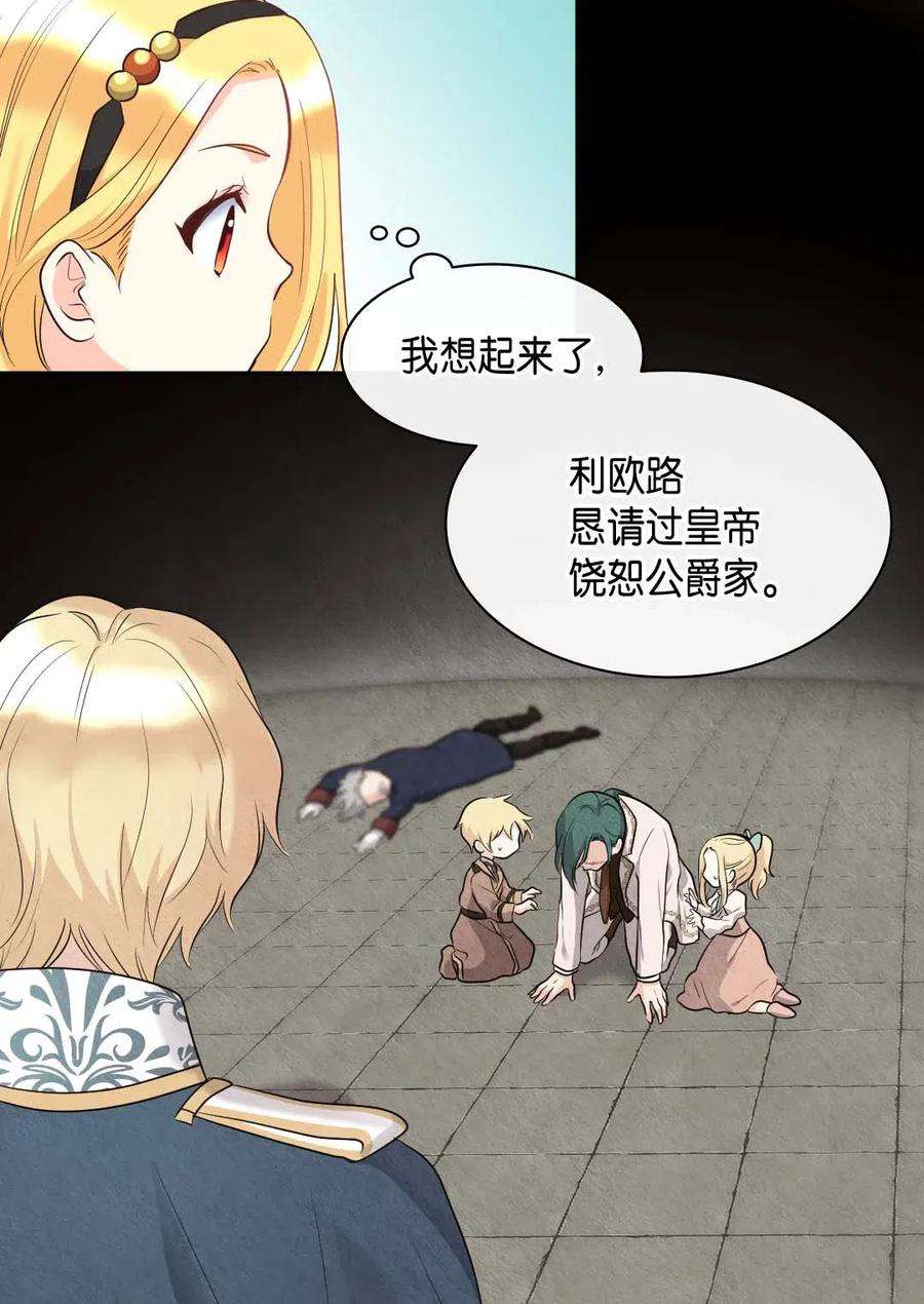 双胞胎兄妹的父皇是宠娃狂魔058 公子的下场