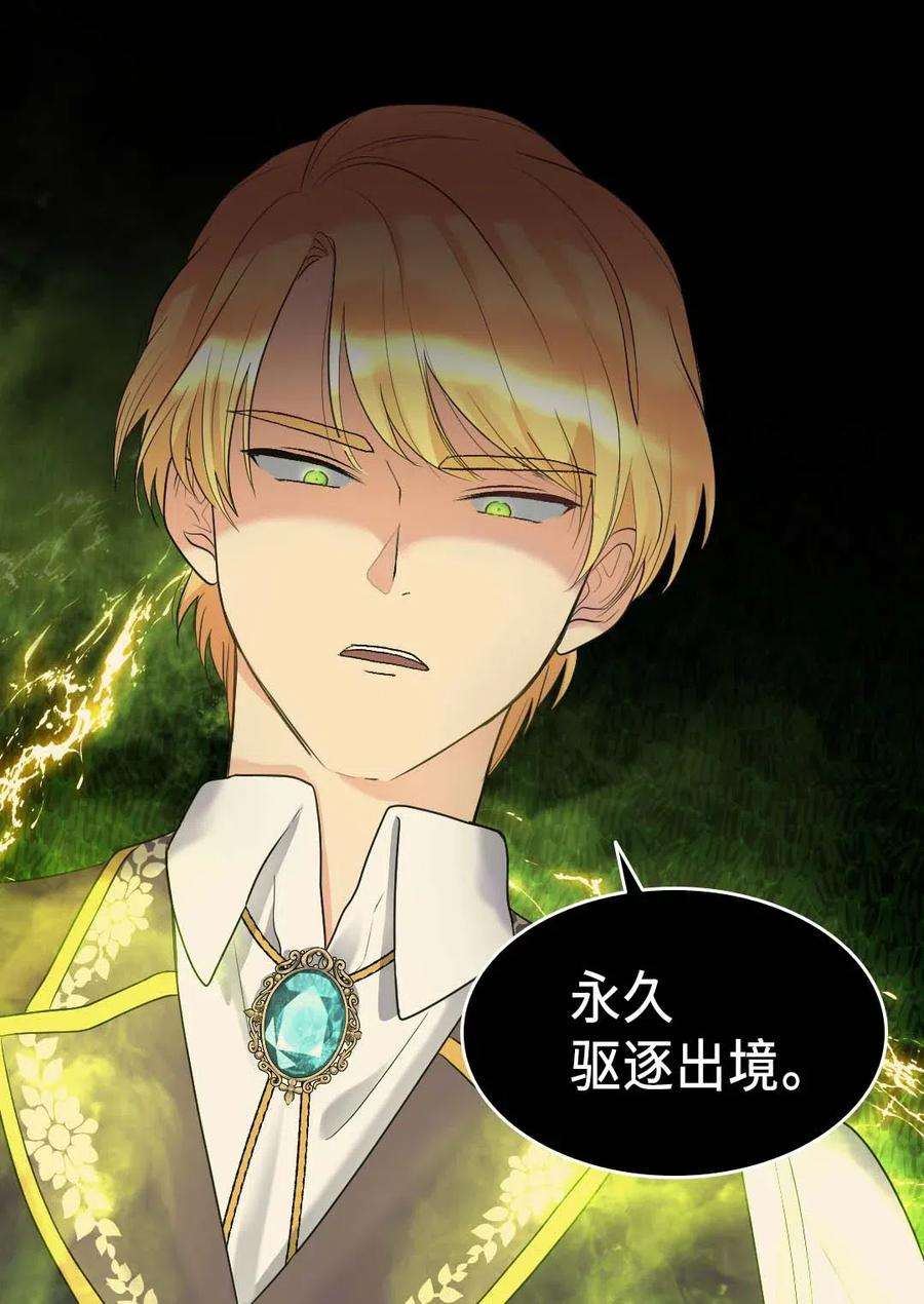 双胞胎兄妹的父皇是宠娃狂魔058 公子的下场