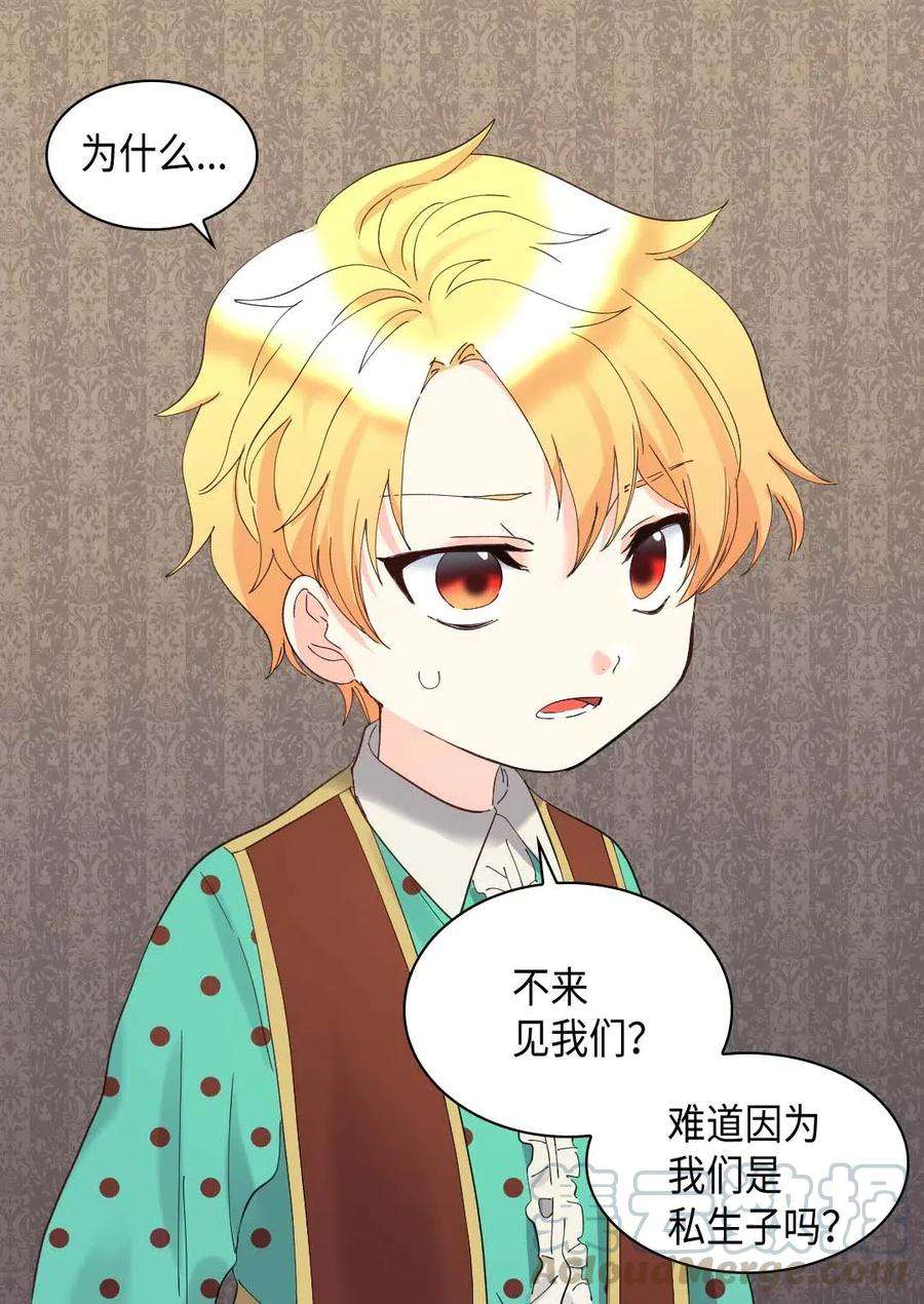 双胞胎兄妹的父皇是宠娃狂魔060 守护者