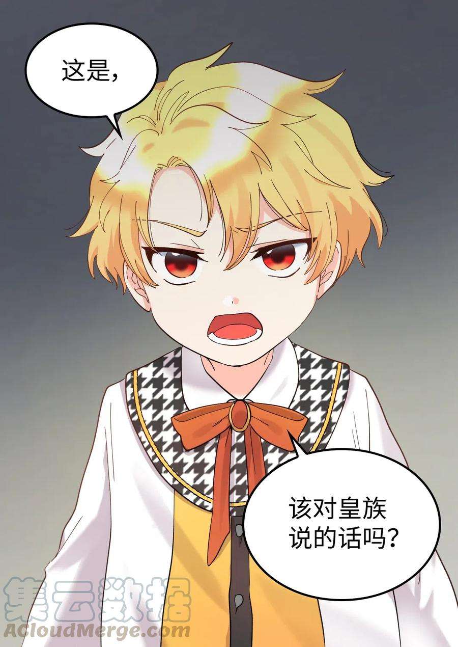 双胞胎兄妹的父皇是宠娃狂魔064 我们有家人了