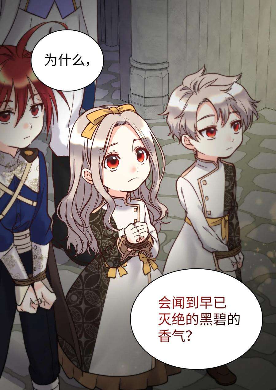 双胞胎兄妹的父皇是宠娃狂魔071 寻找真相