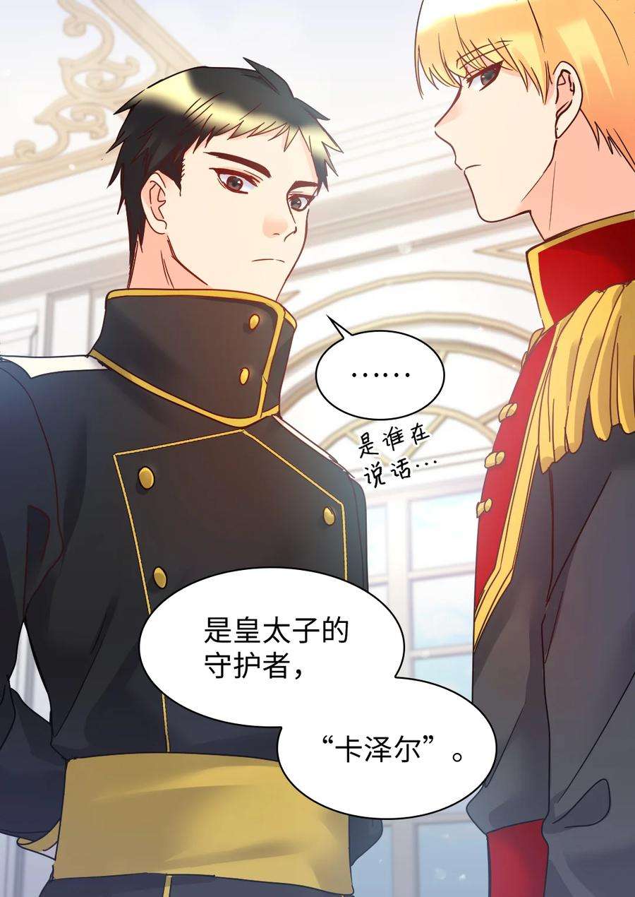 双胞胎兄妹的父皇是宠娃狂魔079 皇太子的守护者