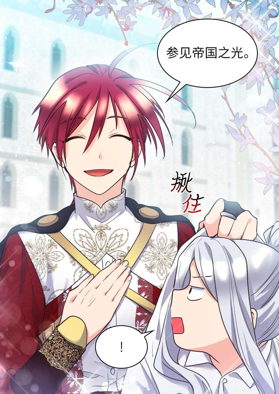 双胞胎兄妹的父皇是宠娃狂魔104 学园祭