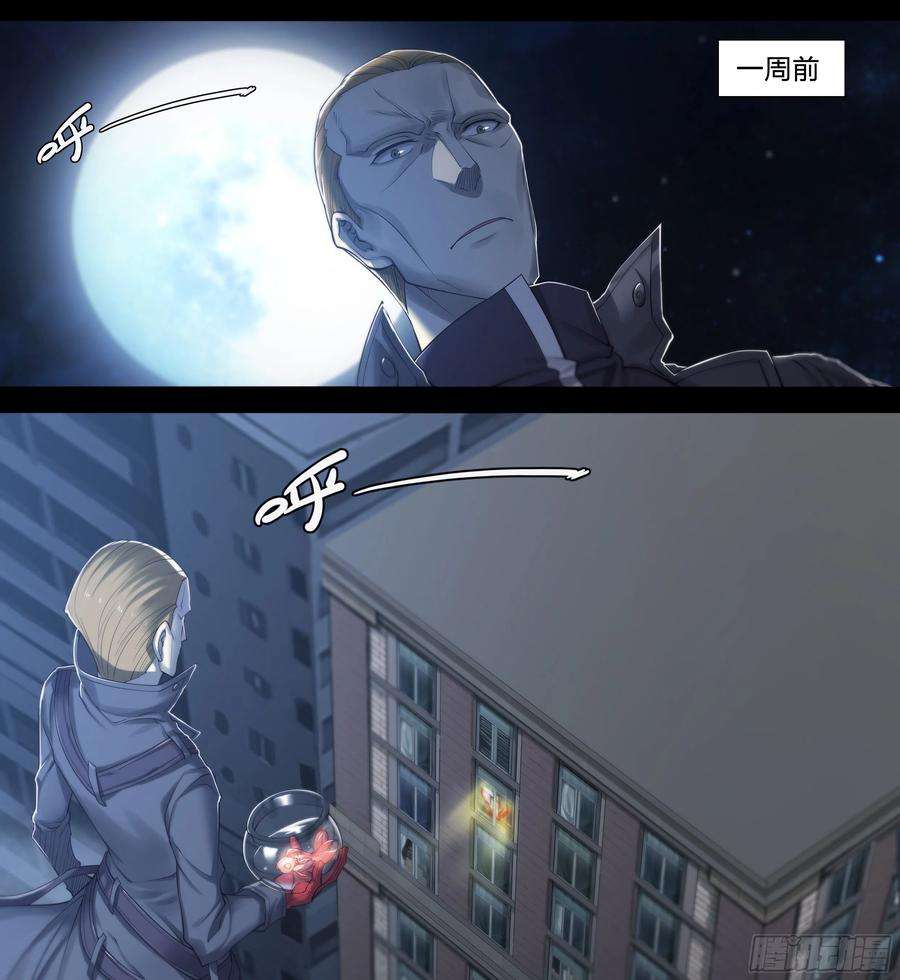 天启预报31 就离谱