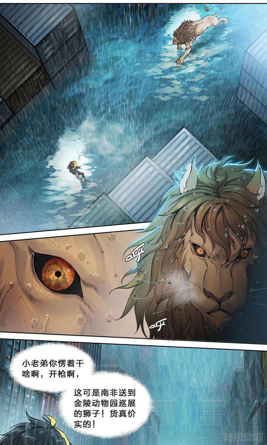 天启预报44 金鱼大佬