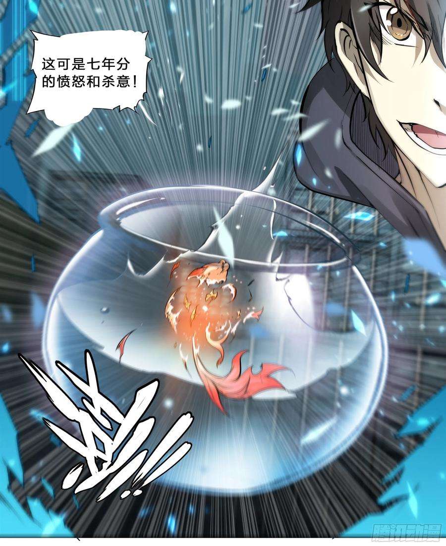 天启预报44 金鱼大佬