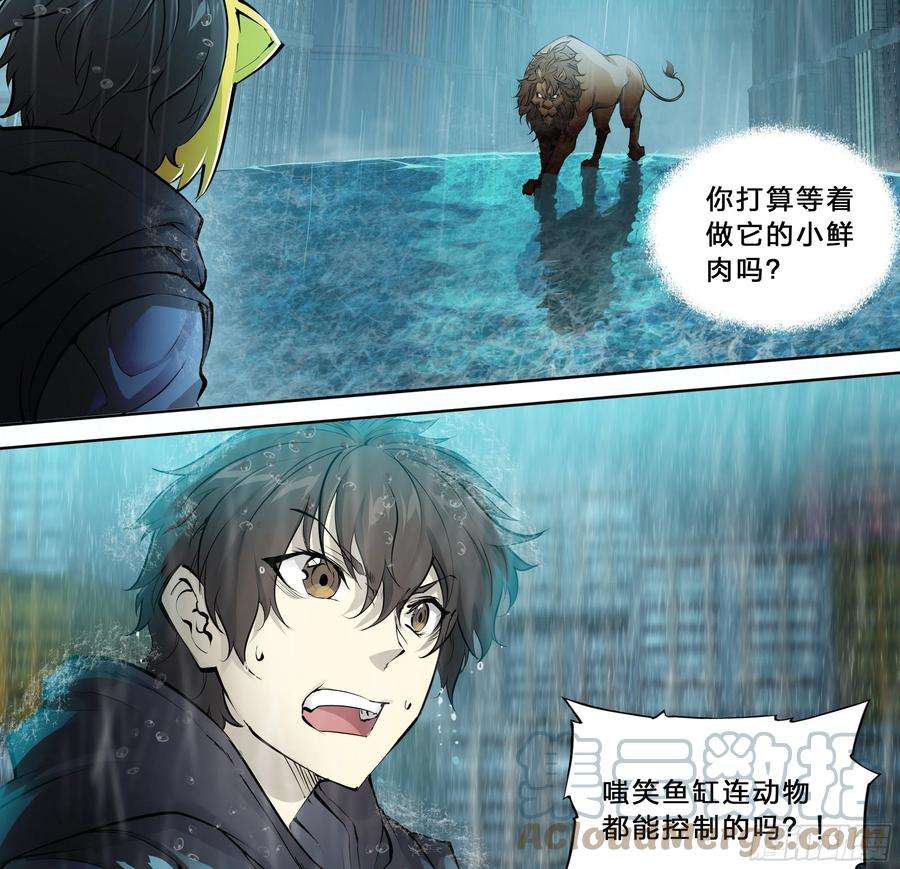 天启预报44 金鱼大佬