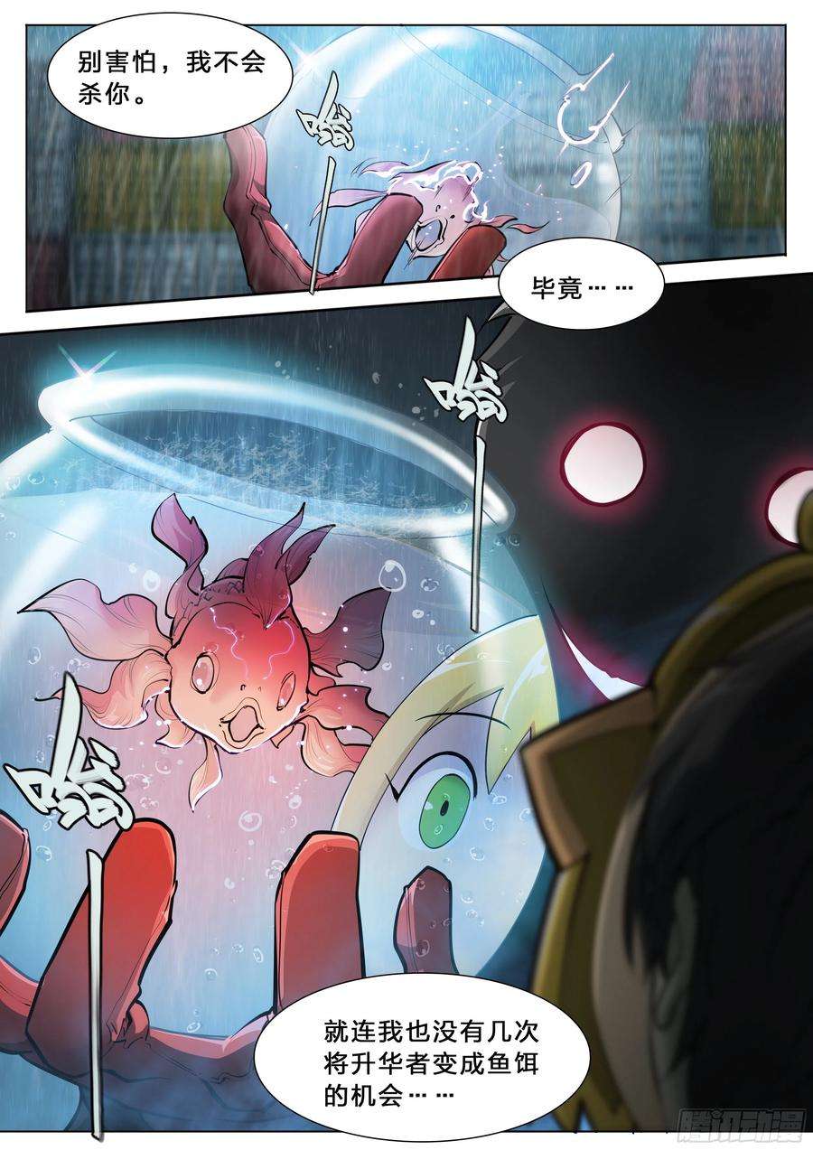 天启预报44 金鱼大佬