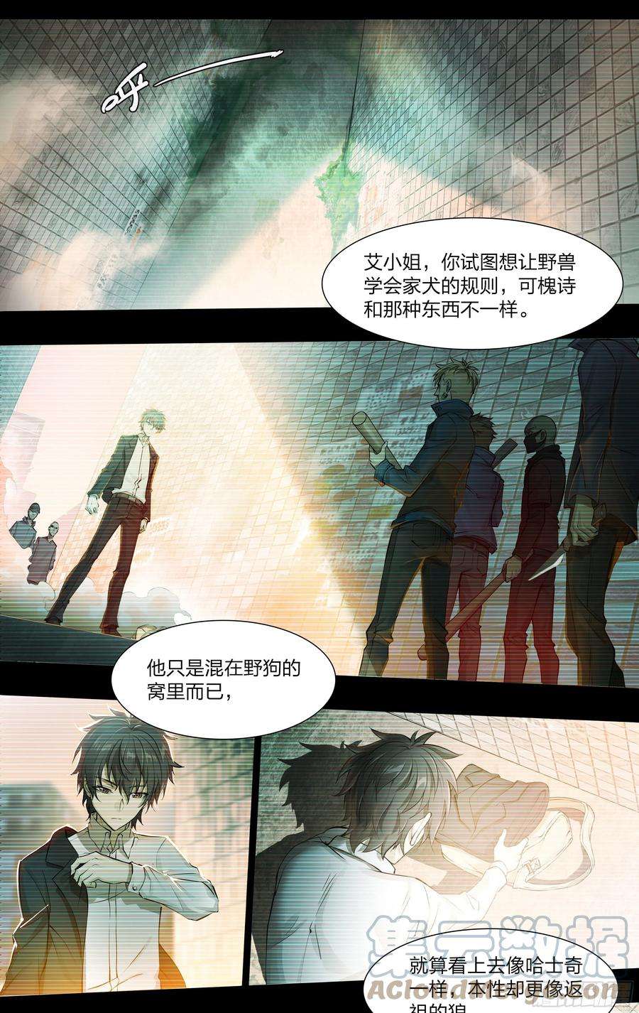 天启预报54 狼中哈士奇