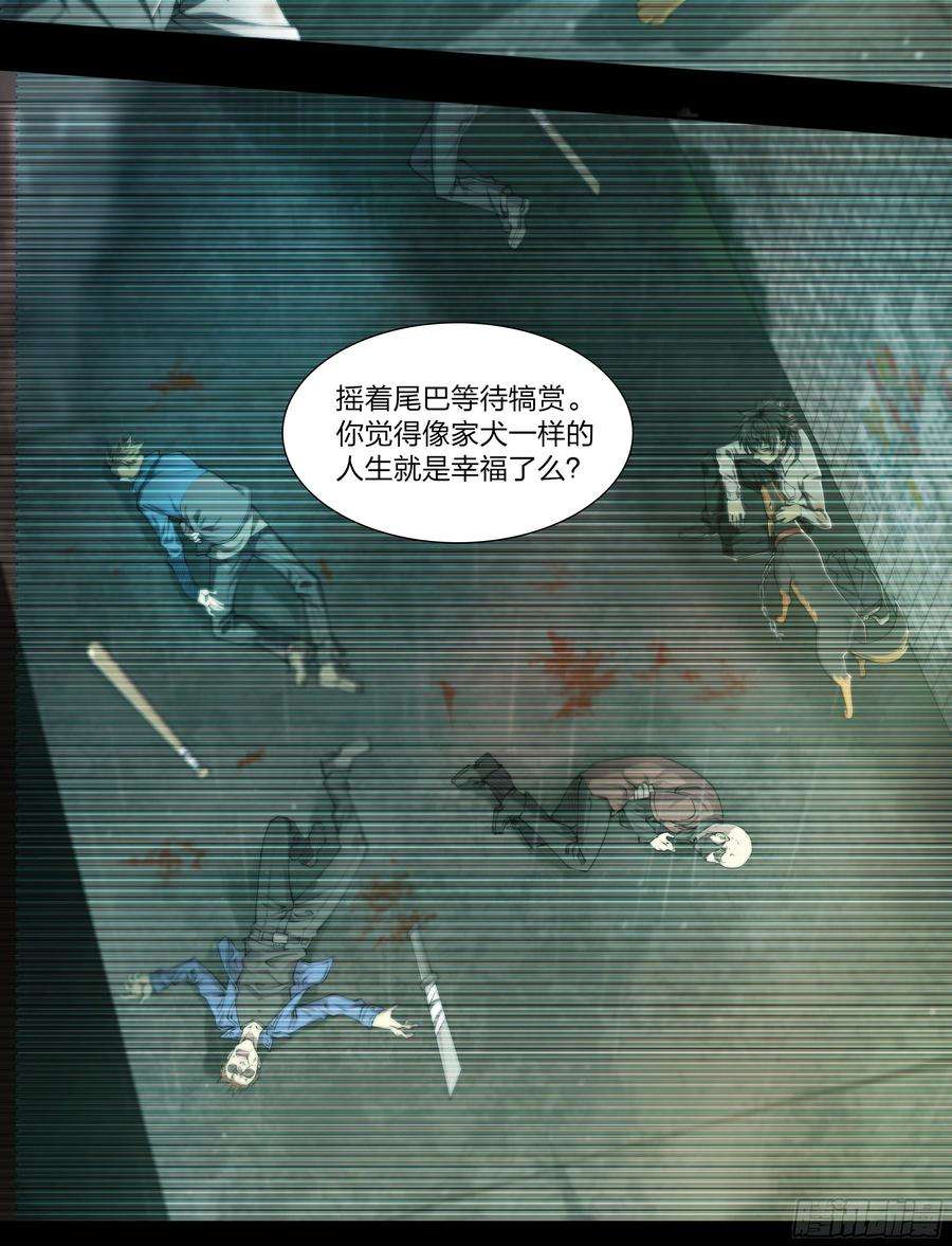 天启预报54 狼中哈士奇