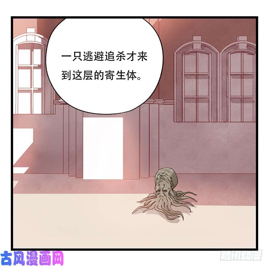 百层塔第三十层（七）