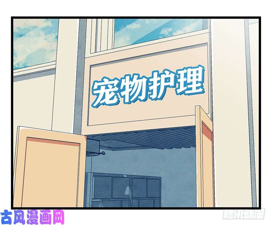百层塔第四十五层（上）
