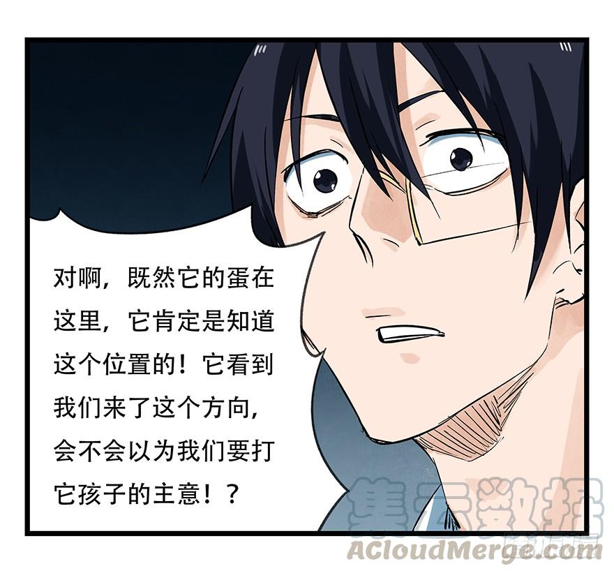 百层塔二十，屠龙（中下）