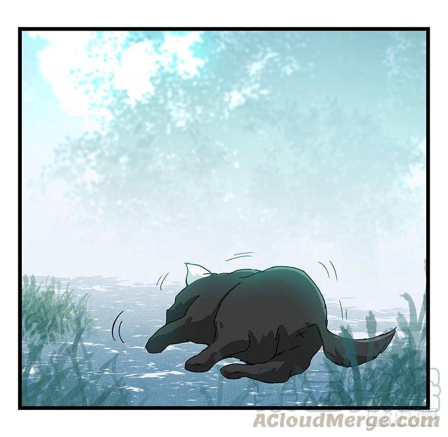 百层塔三十九，是个狼人（上）