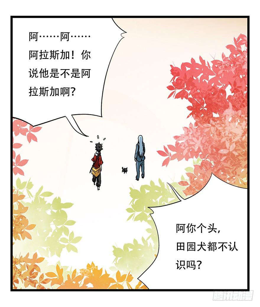 百层塔四十，遛狗闯关（上）